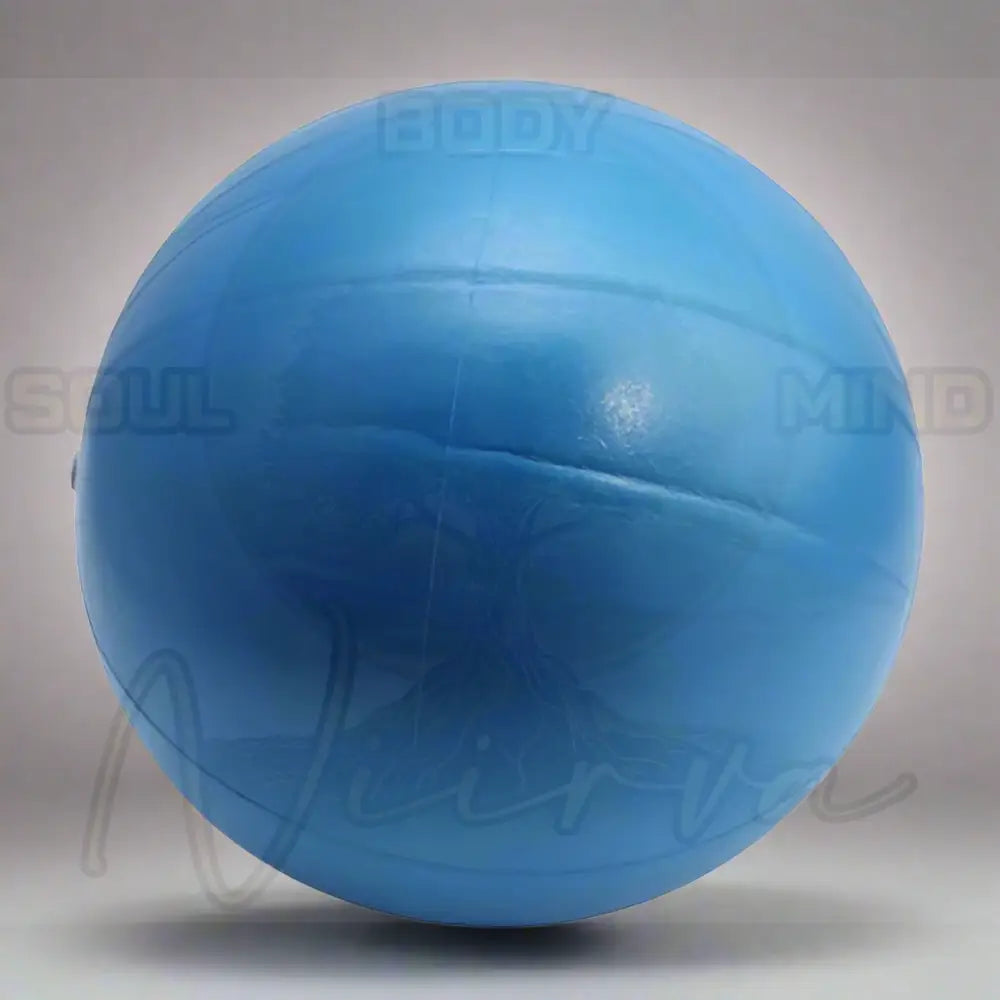 25 cm Yoga Bal Blauw