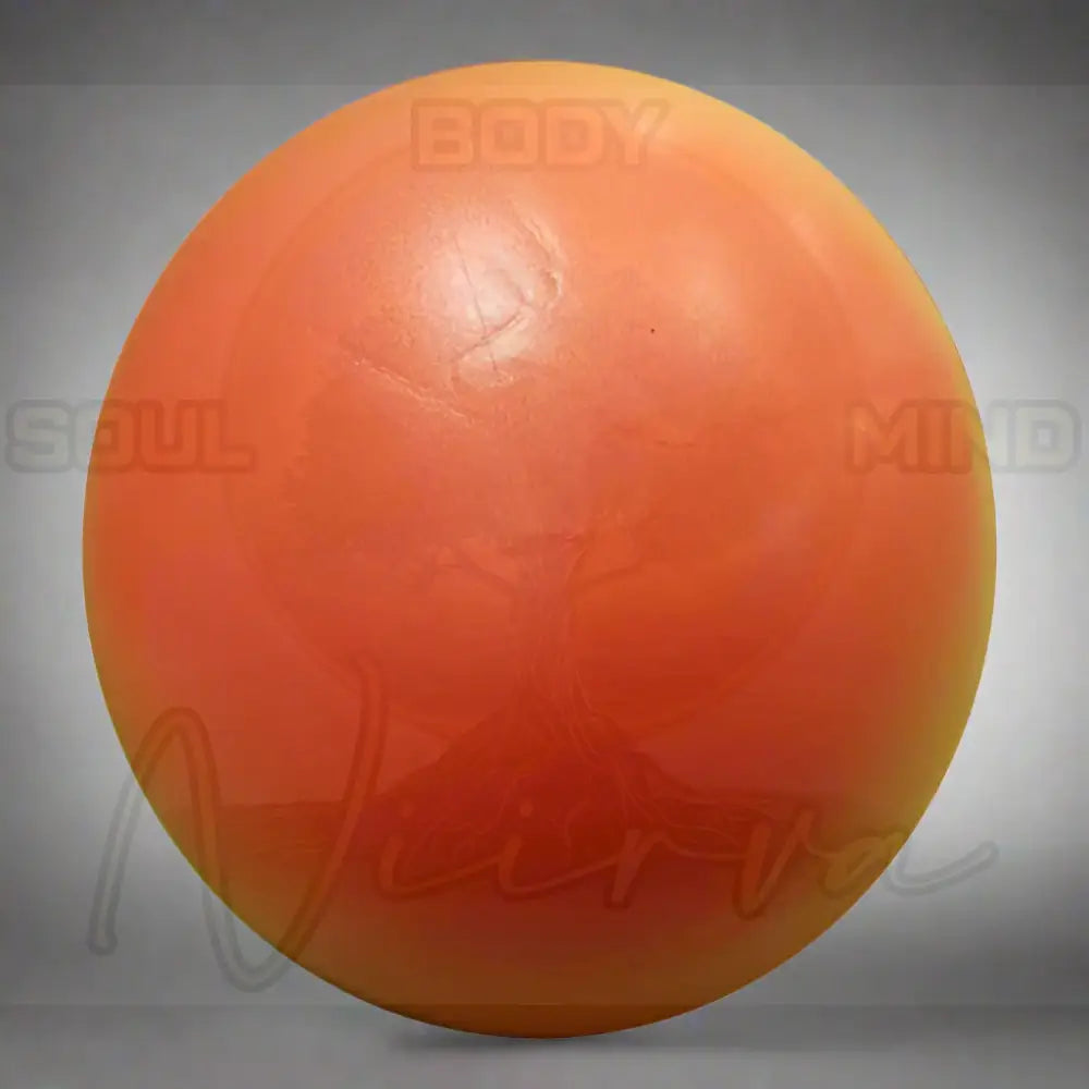 25 cm Yoga Bal Oranje