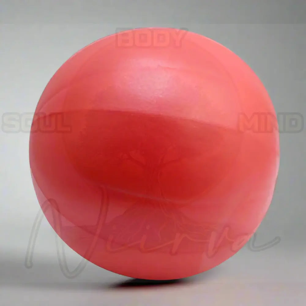25 cm Yoga Bal Rood