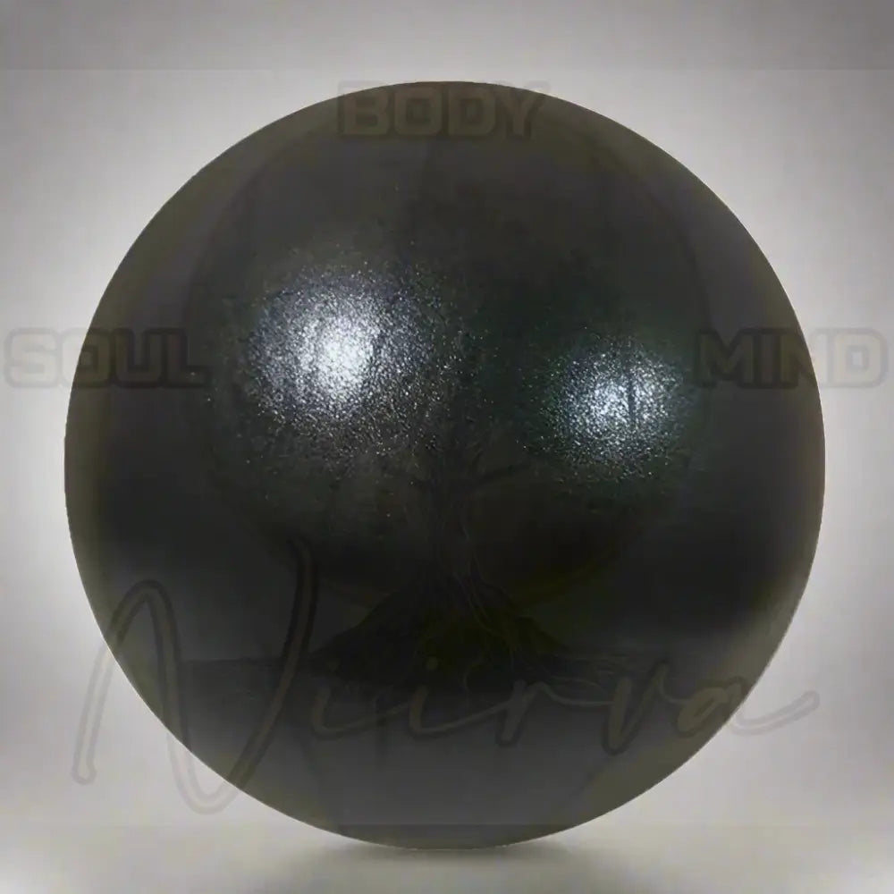 25 cm Yoga Bal Zwart