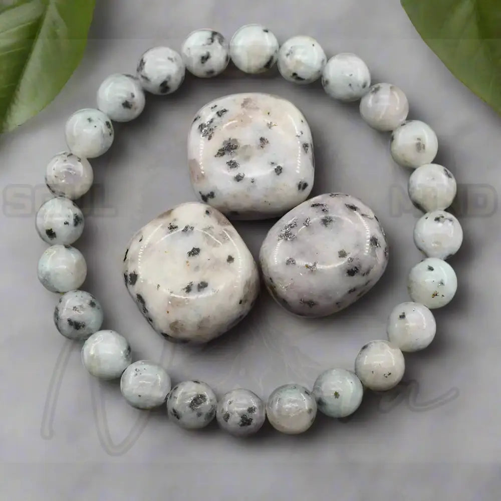 Natuursteen Reiki Armband 29 Tianshan orchidee / 21cm(8.27inch) / 6mm Kralen